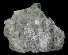 Sea Green Fluorite on Quartz - China #32491-2